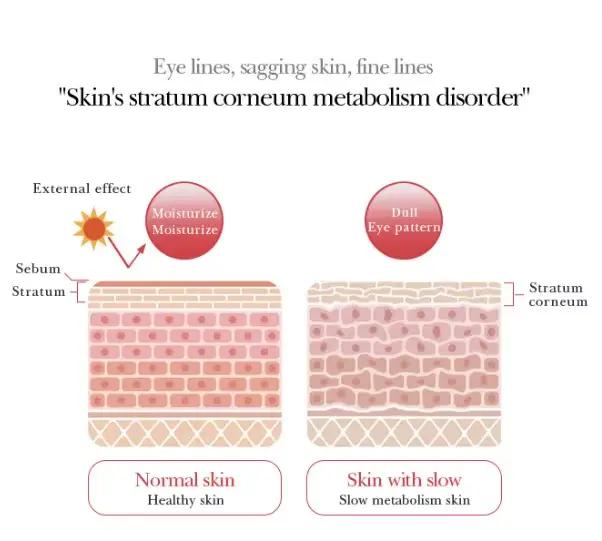 Sérum Contour des Yeux à l'Infusion de Rose Apaisant Anti-Poches Améliorant la Texture et la Vitalité Générale NOUVEAU 2026