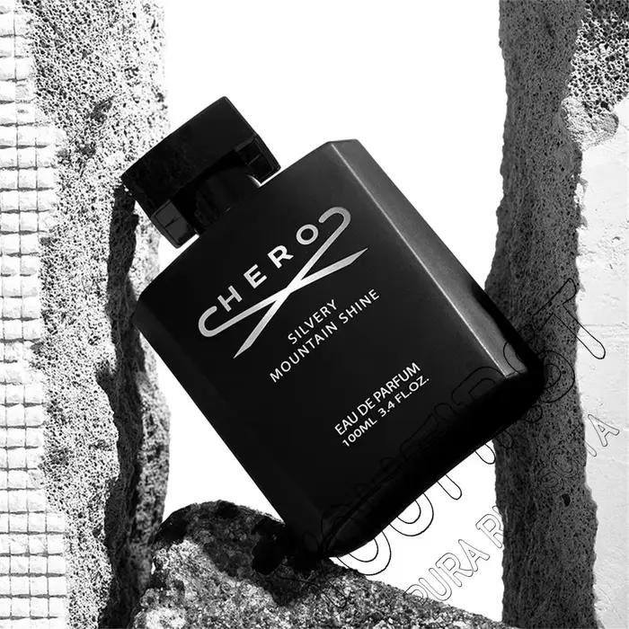 Marque privée de luxe Hombre Parfum hommes Cologne 100ml phéromone Parfums Homme Woody