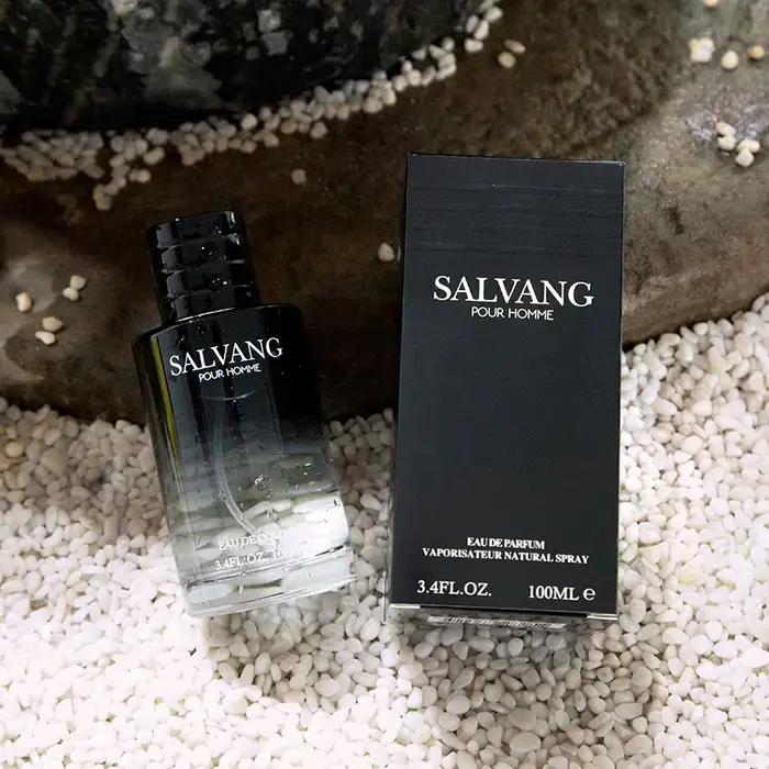 Parfum de Marque Boisé pour Homme, Spray de Parfum, Phéromone Séductrice, Cologne Longue Durée, Parfum Léger Océanique, Cadeau pour Homme Vibrant et Élégant