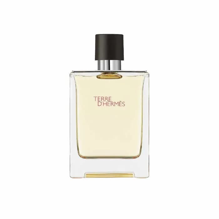 Hermes Terre D'Hermes Eau De Toilette Vaporisateur 100ml