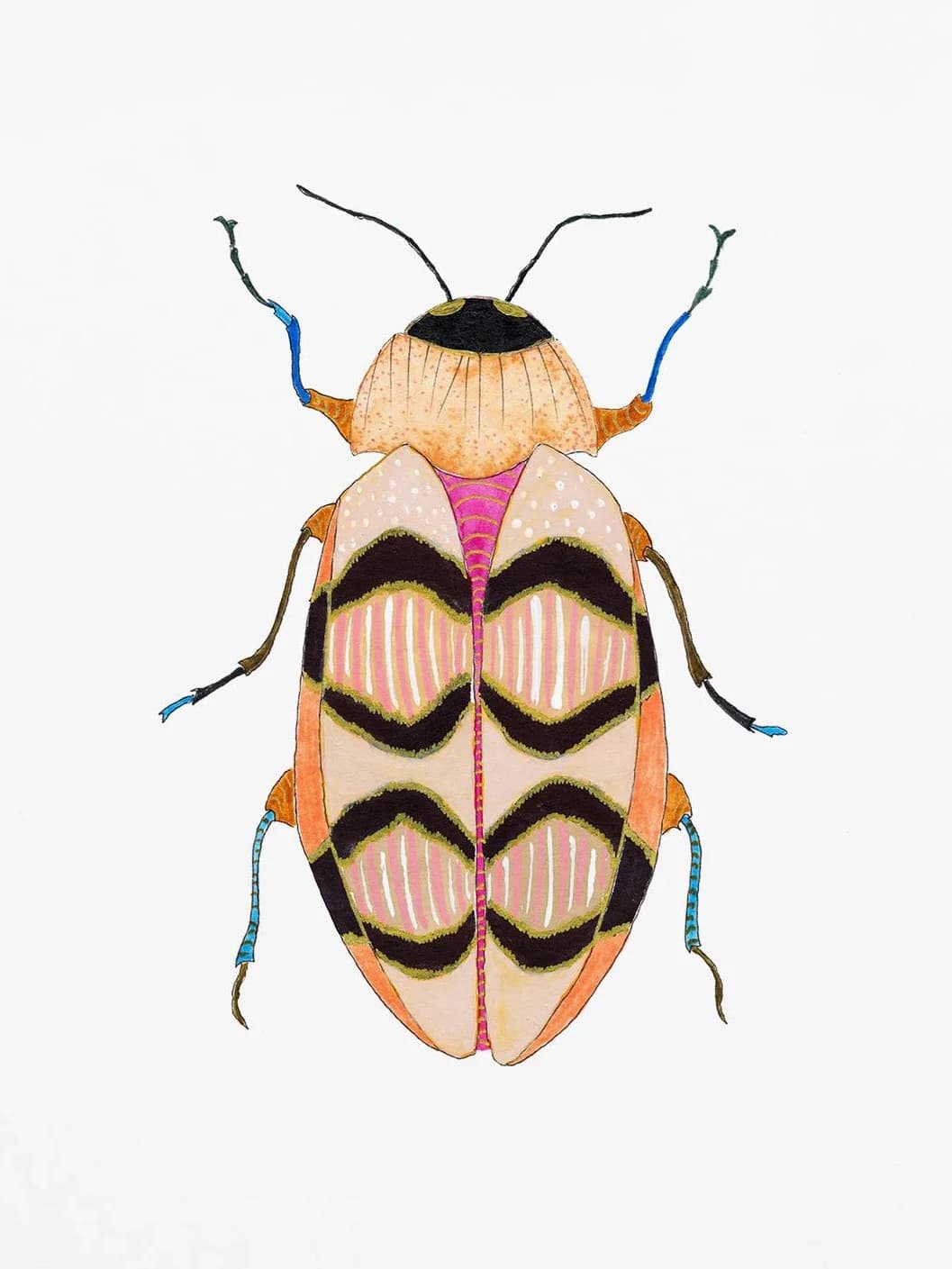 Affiche aquarelle insectes coccinelle coccinelle, peinture sur toile d'insecte colorée, image d'art 