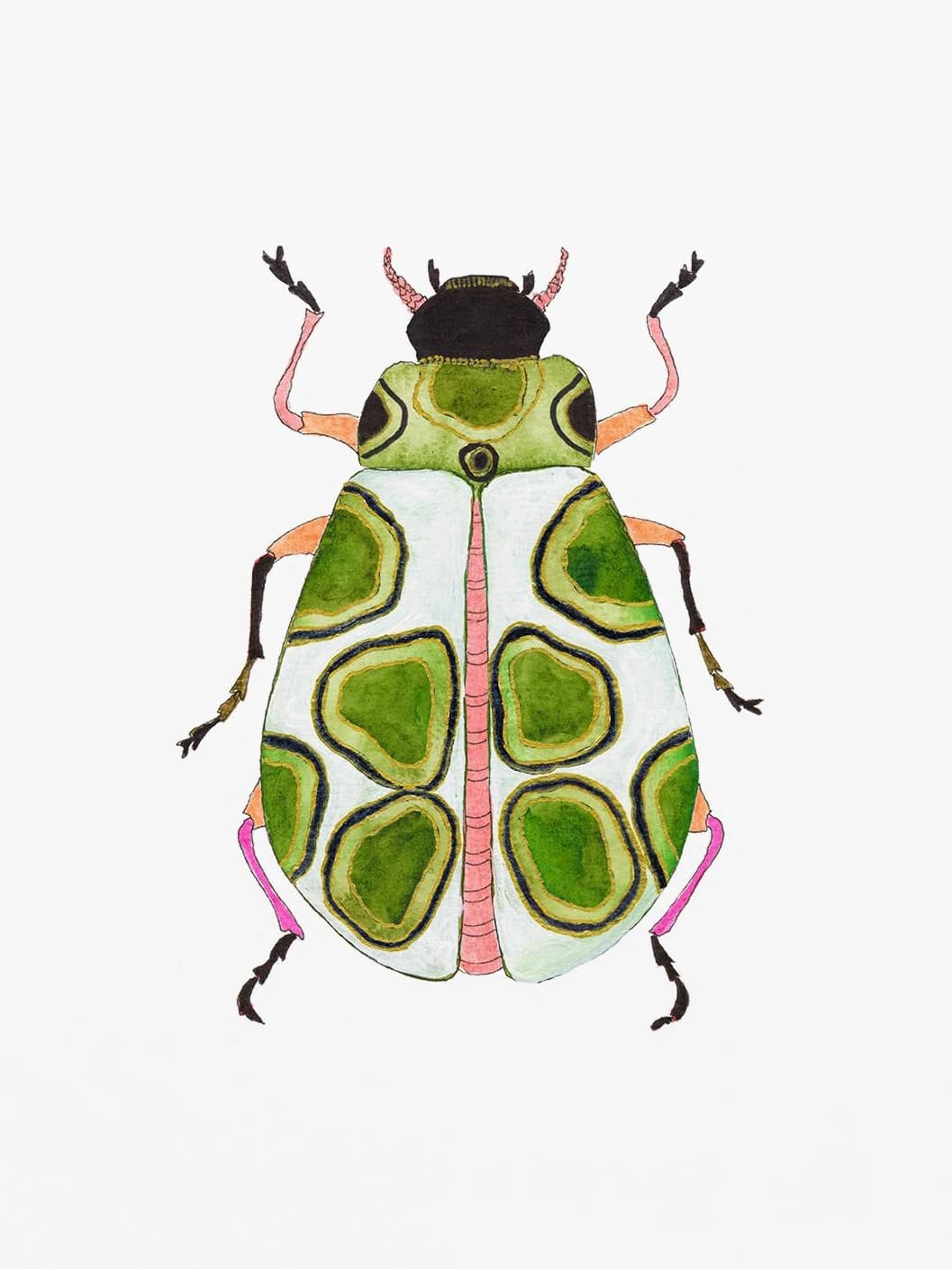 Affiche aquarelle insectes coccinelle coccinelle, peinture sur toile d'insecte colorée, image d'art 