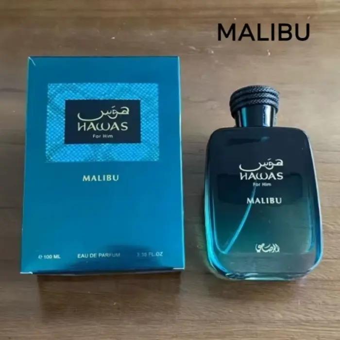 Parfum Arabesque 100ml Longue Durée Luxe Unisex Niche Parfum Elégant Voyage Exotique Signature 14 Styles Occasions Spéciales