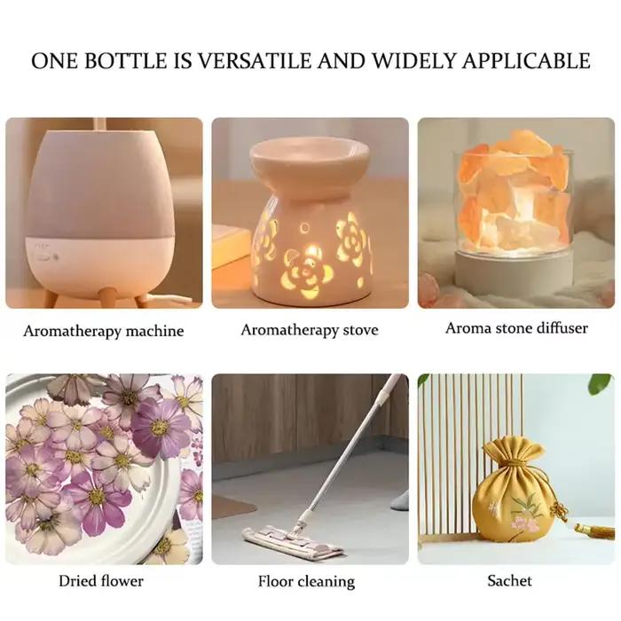 Huile essentielle végétale naturelle pour voiture, 10ml, pour désodorisant, diffuseur, humidificateur, recharge de parfum, arôme pour accessoires automobiles