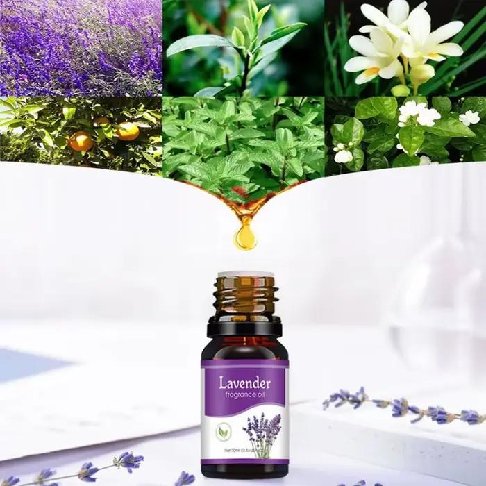 Huiles essentielles d'aromathérapie diffuseur d'huile soluble dans l'eau aromathérapie-rose
