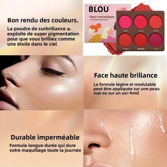 Palette de fards à joues mats imperméables