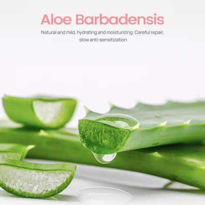 LANBENA dissolvant de points noirs masque pelable extrait d'aloe Vera papier plantes bandes de pores nettoyage en
