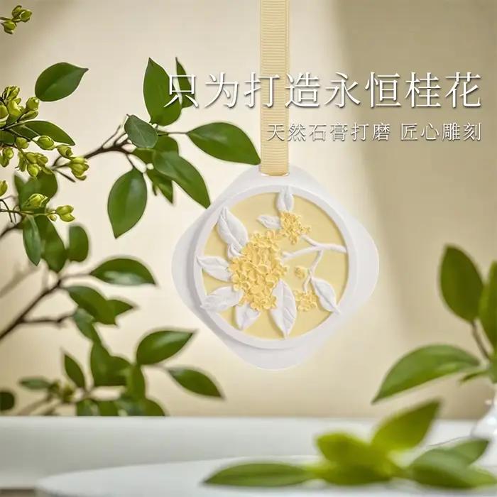 Comprimés parfumés de gypse de gardénia/Osmanthus, pierre d'aromathérapie à 10 parfums, désodorisant de placard, parfum de maison pour voitures, 1 pièce