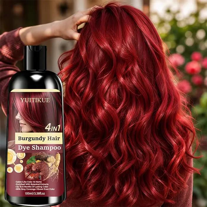Shampoo colorant capillaire Bourgogne 4 en 1