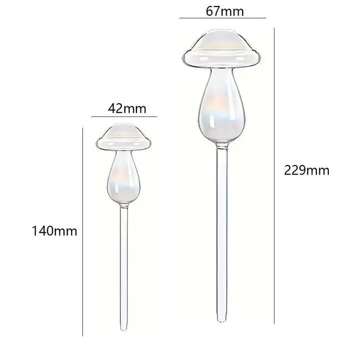 Arrosage des plantes en verre