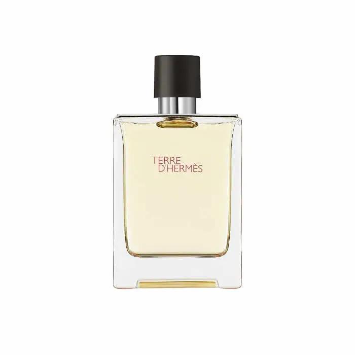 Hermes Terre D'Hermes Eau De Toilette Vaporisateur 100ml